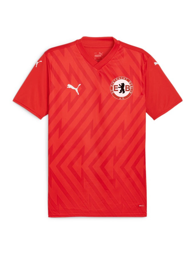 PUMA teamGLORY Trikot