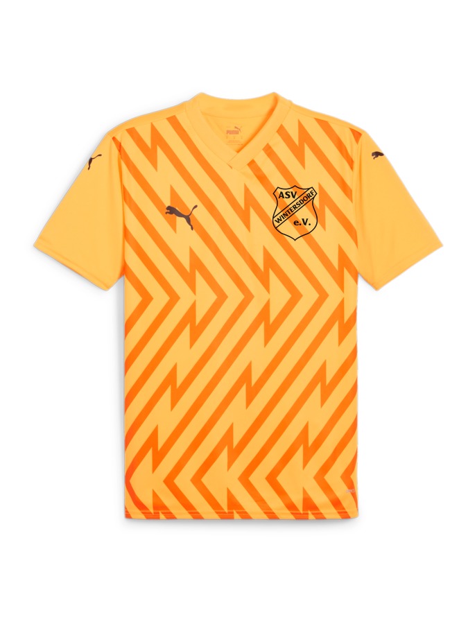 PUMA teamGLORY Trikot