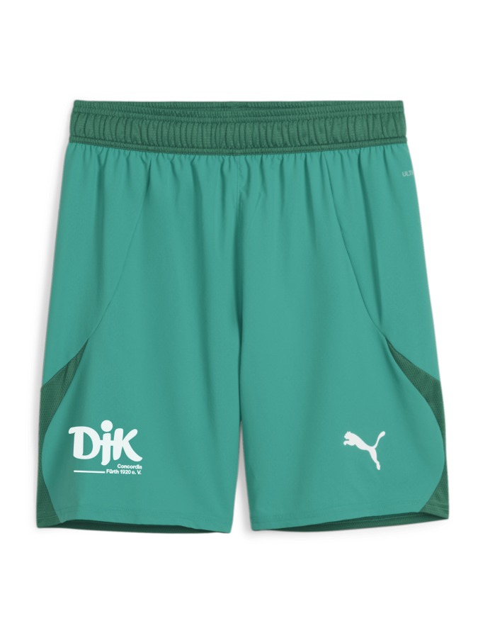 PUMA teamFINAL Shorts