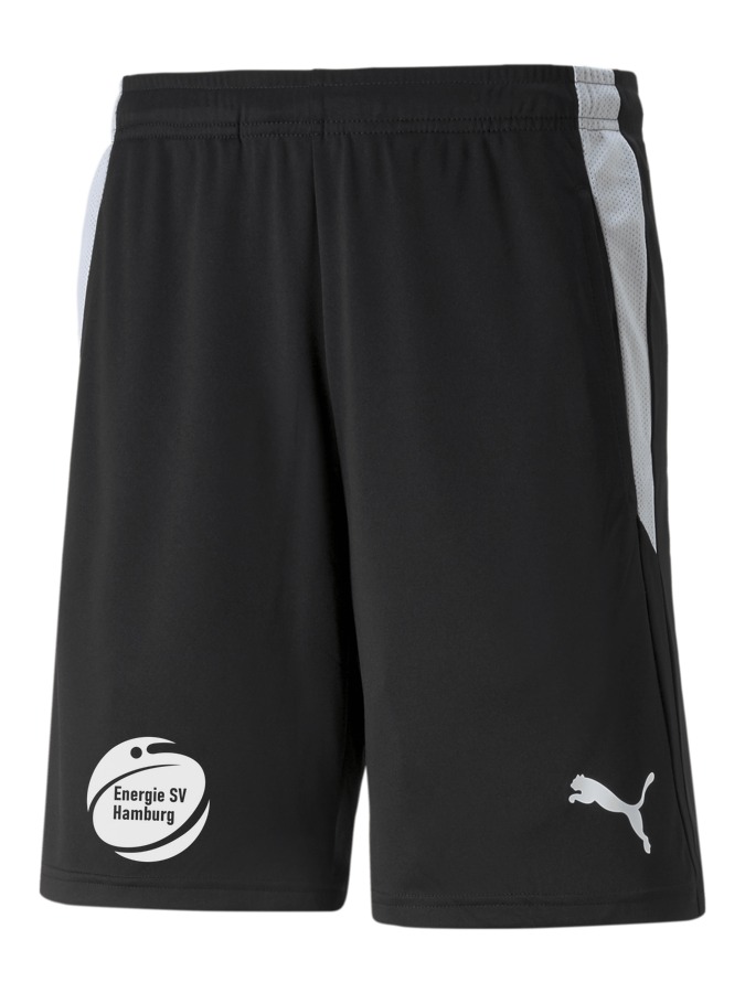 PUMA teamLIGA Referee Shorts