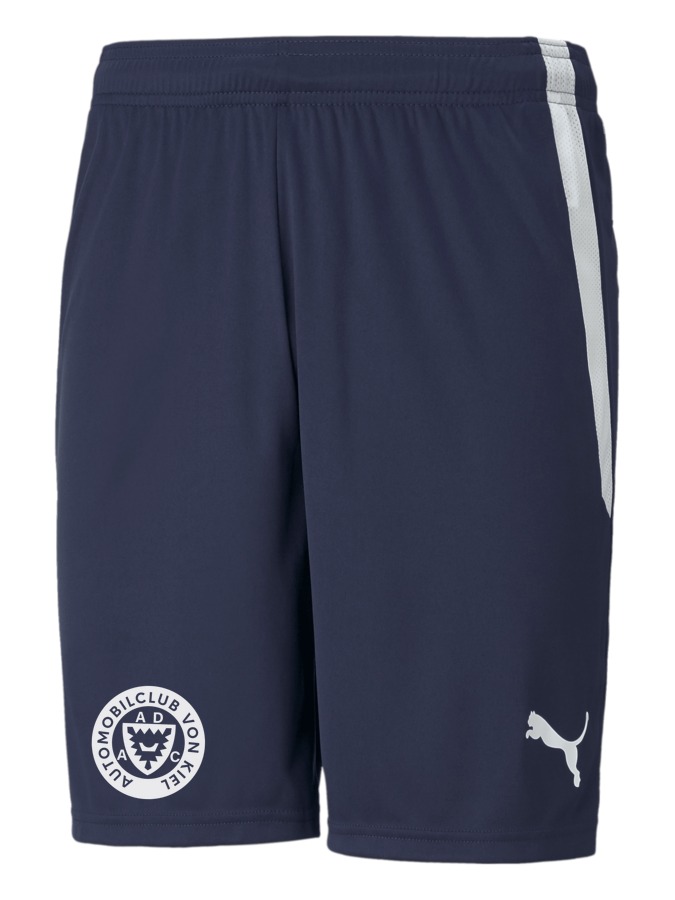 PUMA teamLIGA Shorts