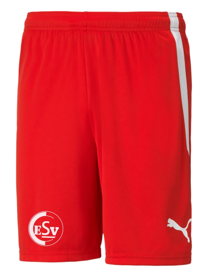 PUMA teamLIGA Shorts