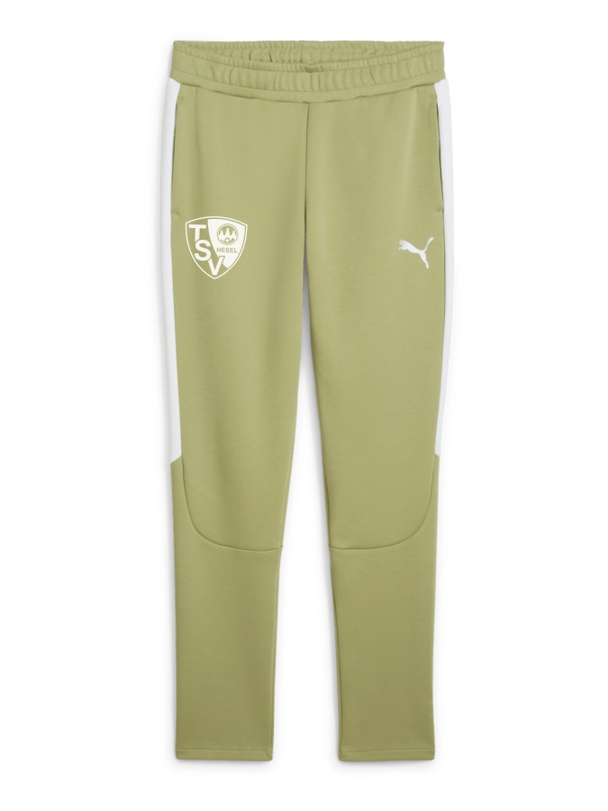 PUMA teamEVOSTRIPE Hose