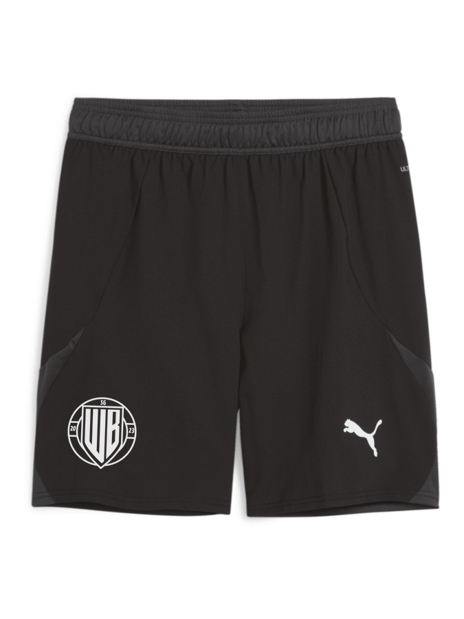 PUMA teamFINAL Shorts