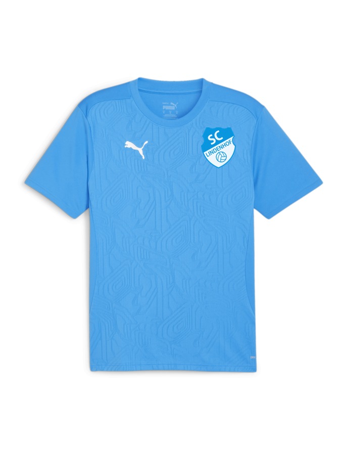 PUMA teamFINAL Trainingsshirt