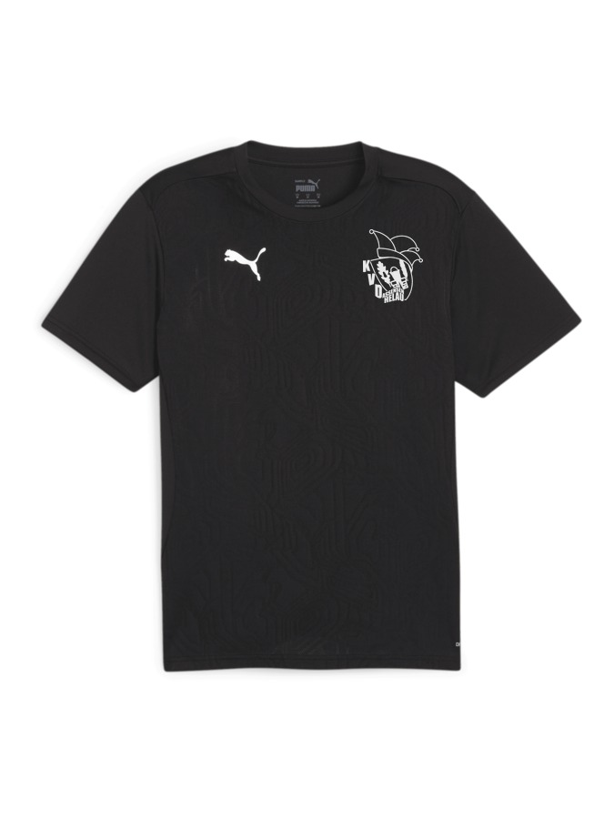 PUMA teamFINAL Trainingsshirt