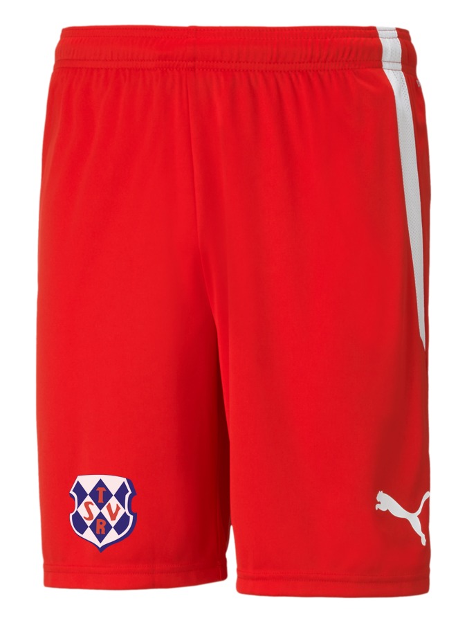 PUMA teamLIGA Shorts