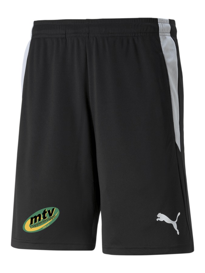 PUMA teamLIGA Referee Shorts