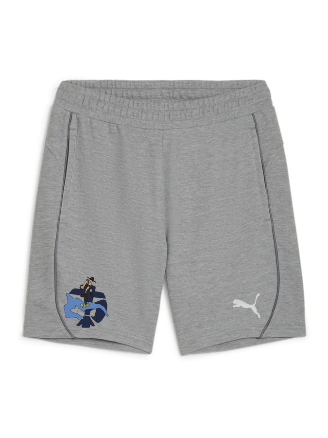 PUMA teamFINAL Casuals Shorts