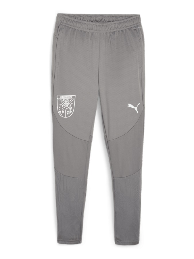 PUMA teamFINAL Trainingshose