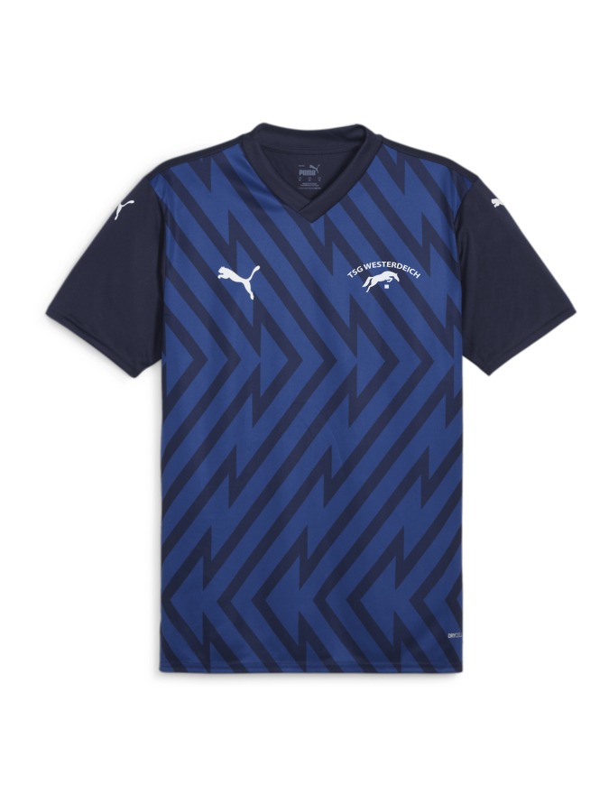 PUMA teamGLORY Trikot