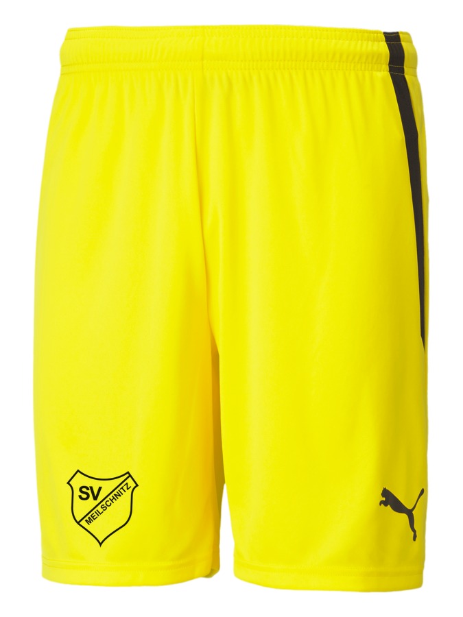 PUMA teamLIGA Shorts