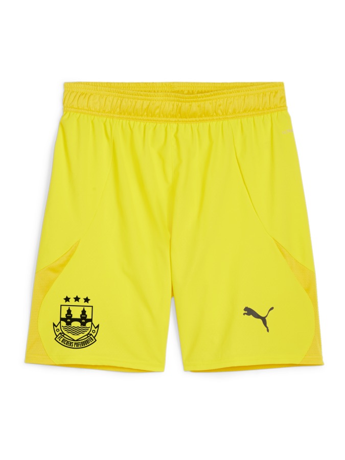 PUMA teamFINAL Shorts