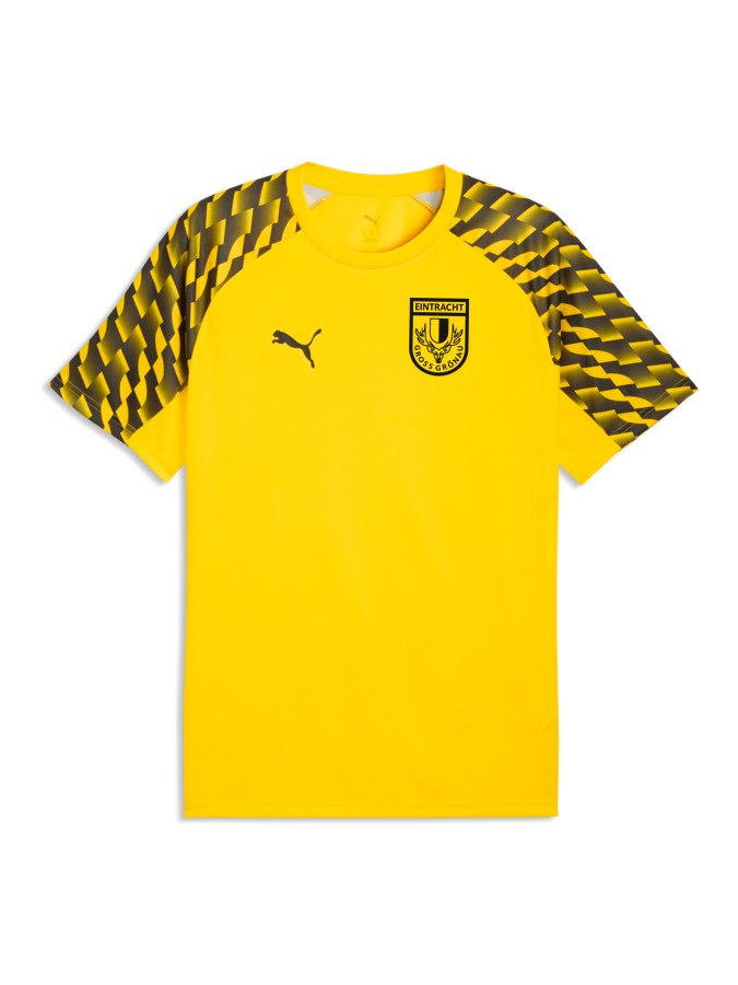 PUMA teamLIGA26 Trikot