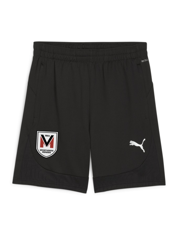 PUMA teamFINAL Training Shorts
