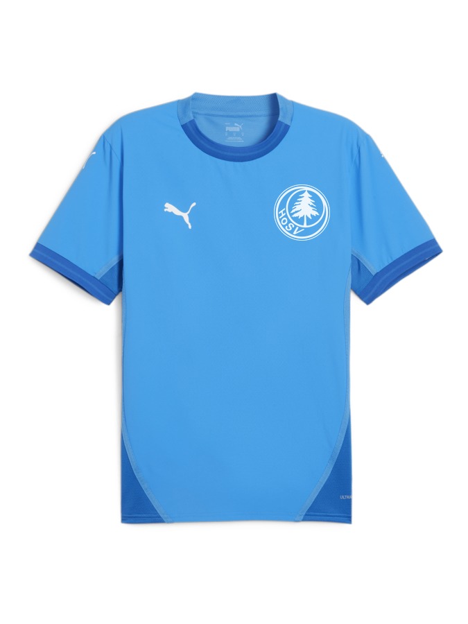 PUMA teamFINAL Trikot
