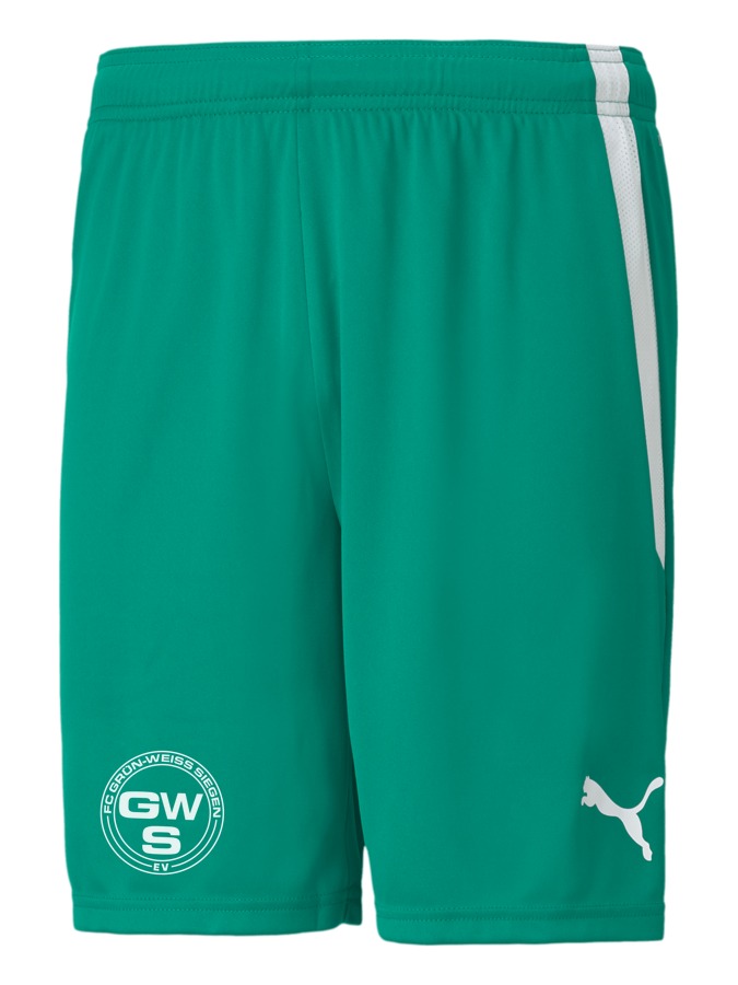 PUMA teamLIGA Shorts