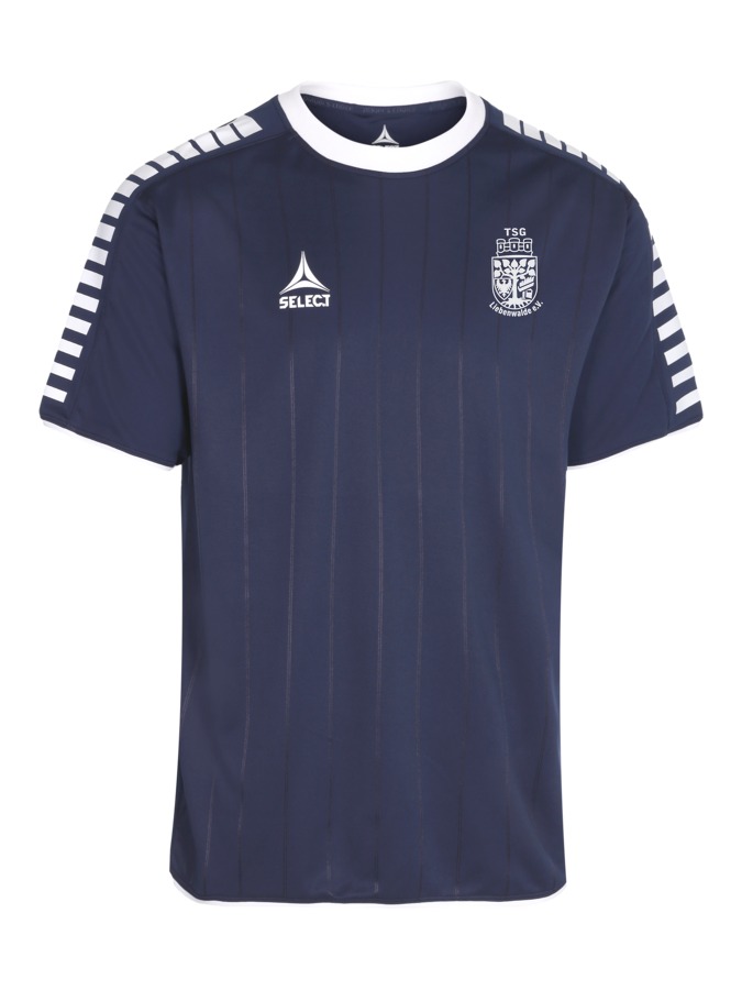 Select Argentina Trikot