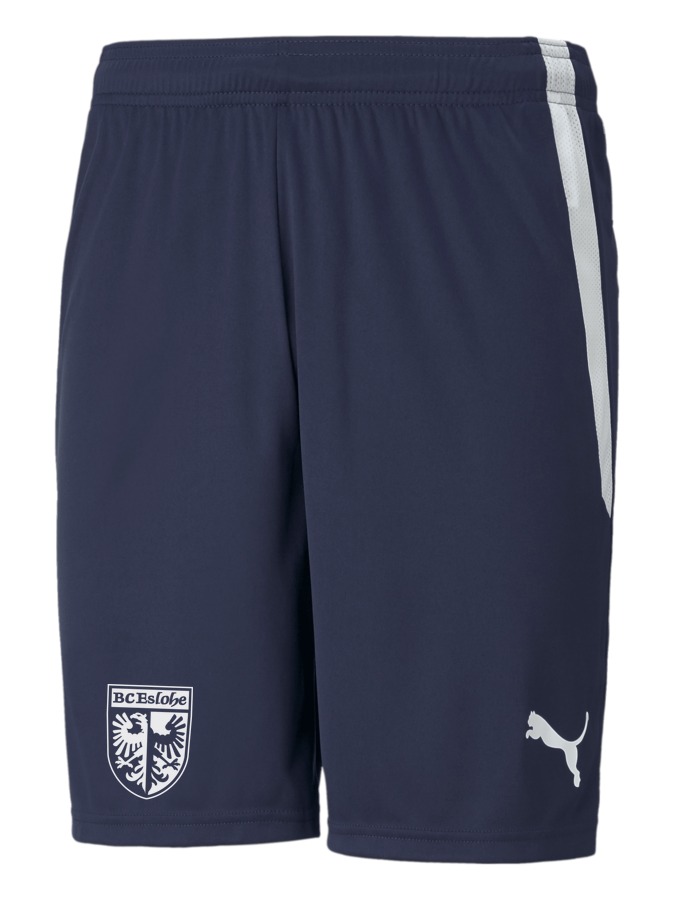 PUMA teamLIGA Shorts
