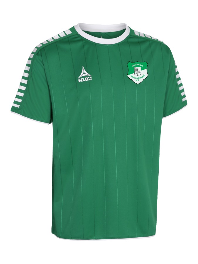 Select Argentina Trikot