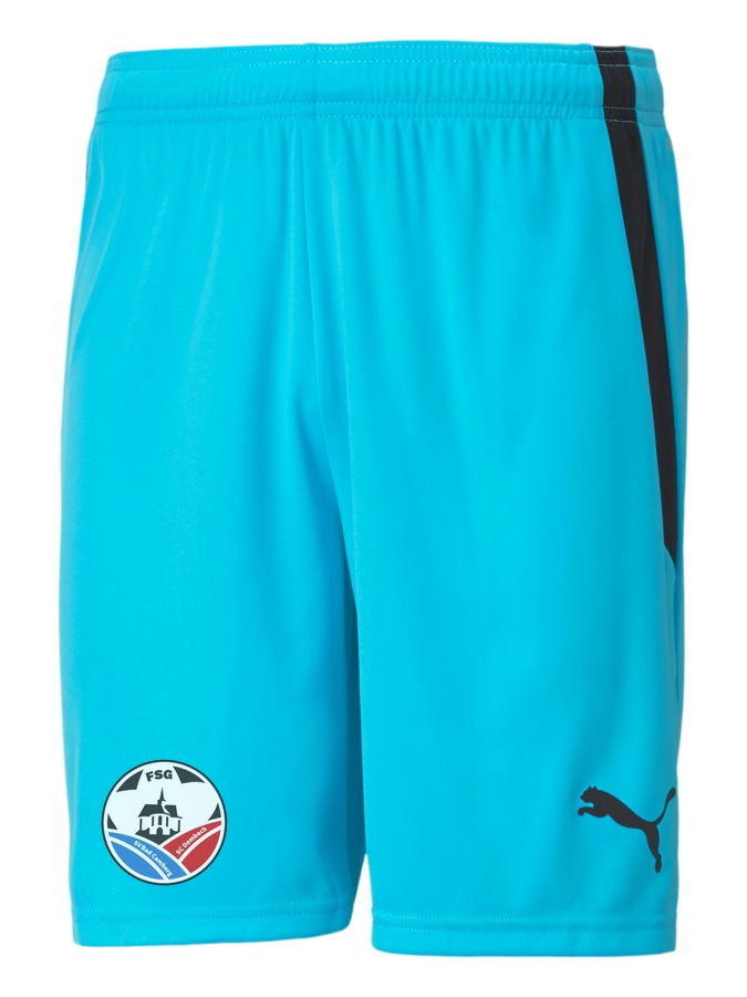 PUMA teamLIGA Shorts