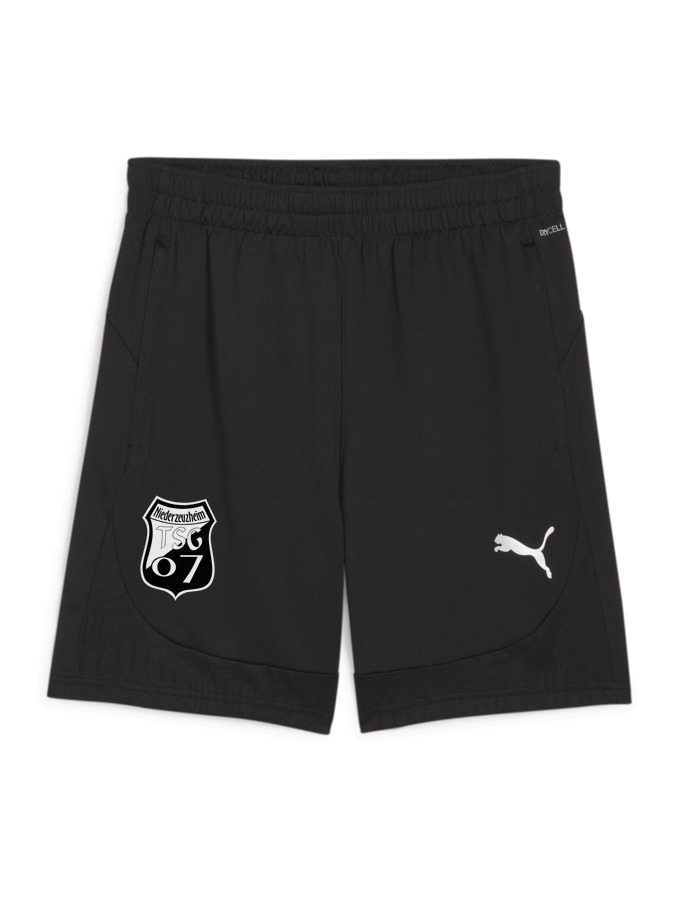PUMA teamFINAL Training Shorts