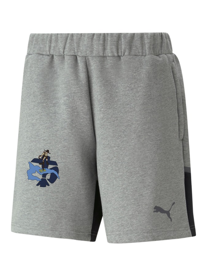 PUMA teamCUP Casuals Shorts