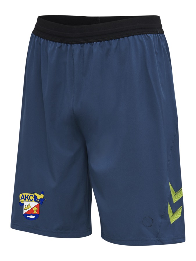 Hummel Lead Pro Training Shorts