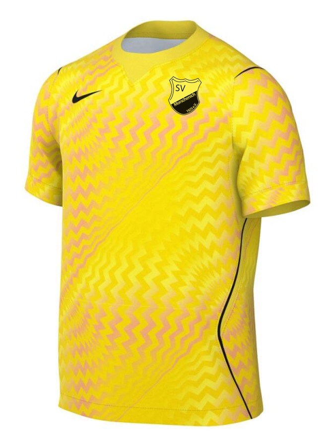 Nike Gardien VI Torwart Trikot