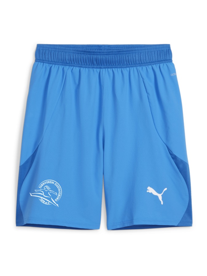 PUMA teamFINAL Shorts