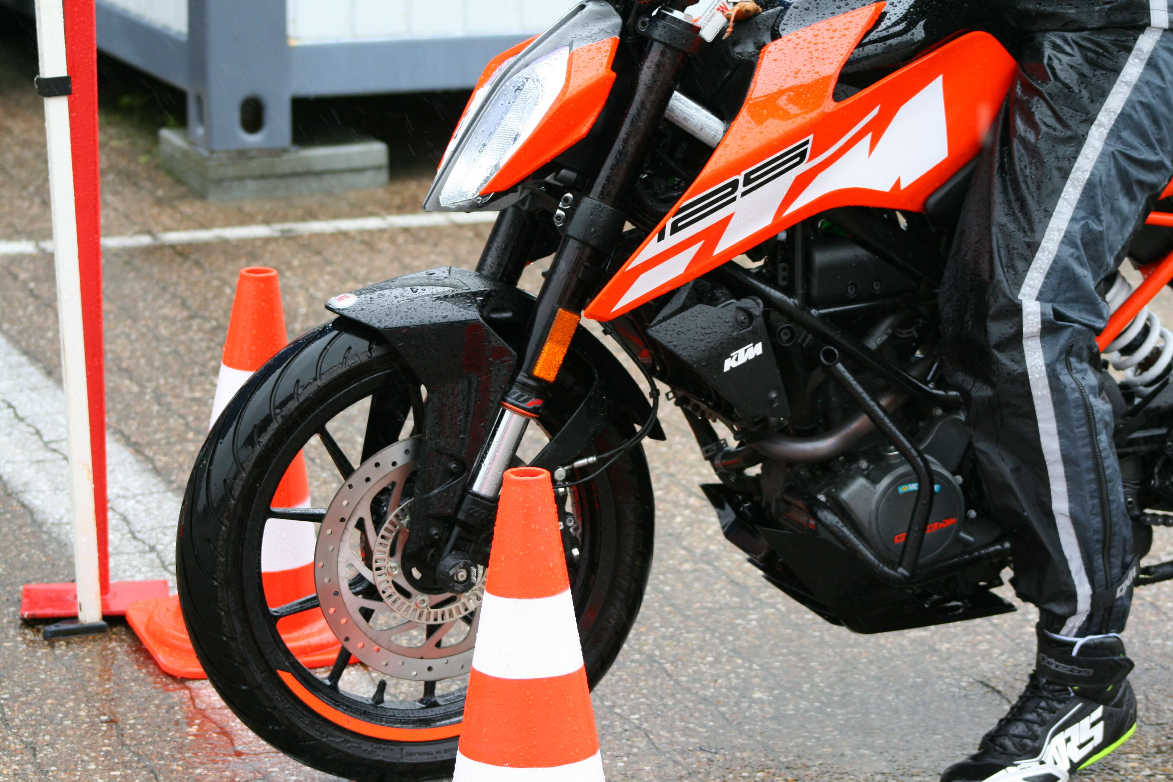 Individuelles Vereinsbild