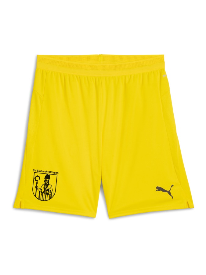 PUMA teamCUP Shorts