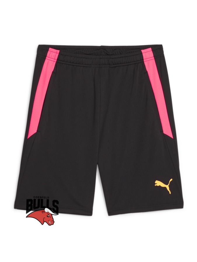 PUMA teamLIGA Training Shorts 2 (Offene Taschen)