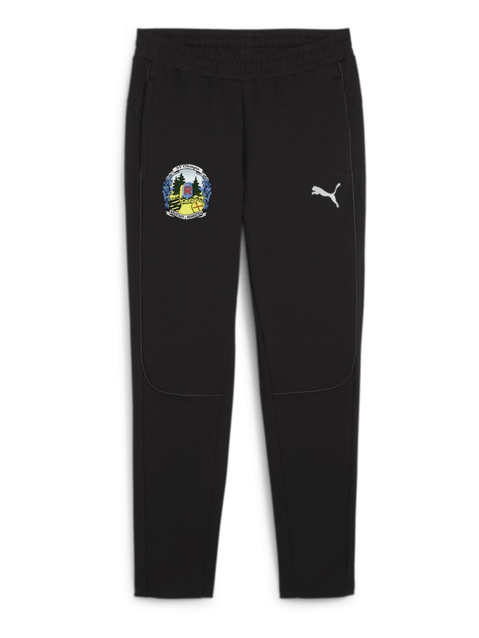 PUMA teamFINAL Casuals Hose