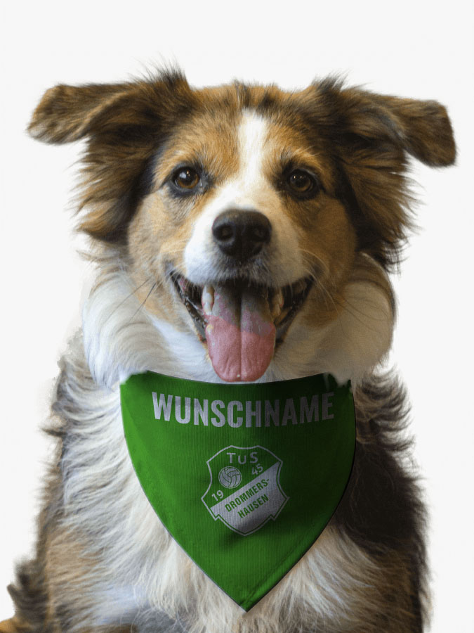 Hundehalstuch