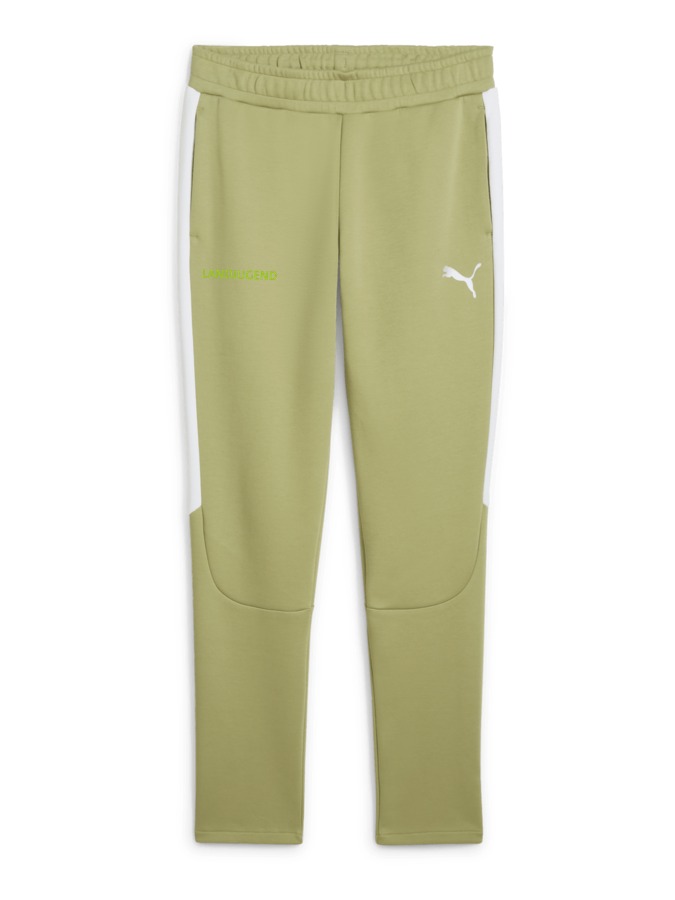 PUMA teamEVOSTRIPE Hose