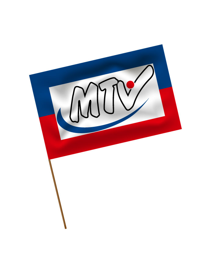 Stadionfahne Logo