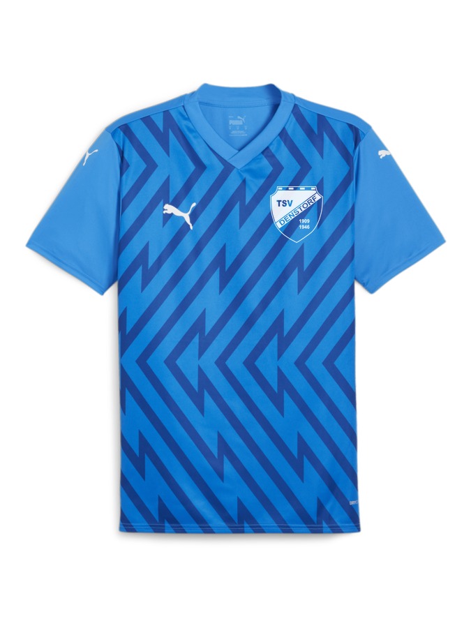 PUMA teamGLORY Trikot