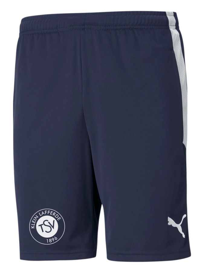 PUMA teamLIGA Training Shorts