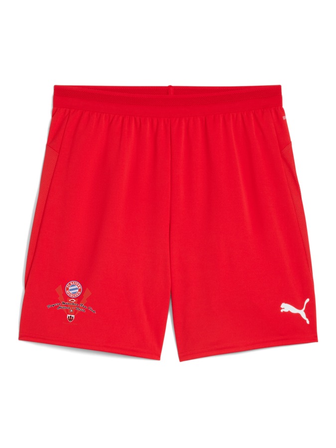 PUMA teamCUP Shorts