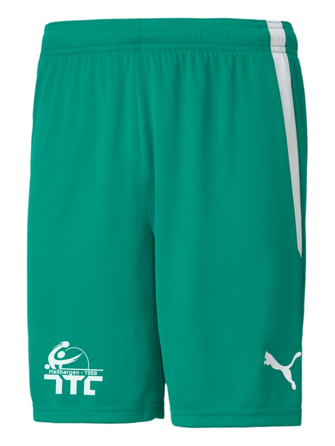 PUMA teamLIGA Shorts