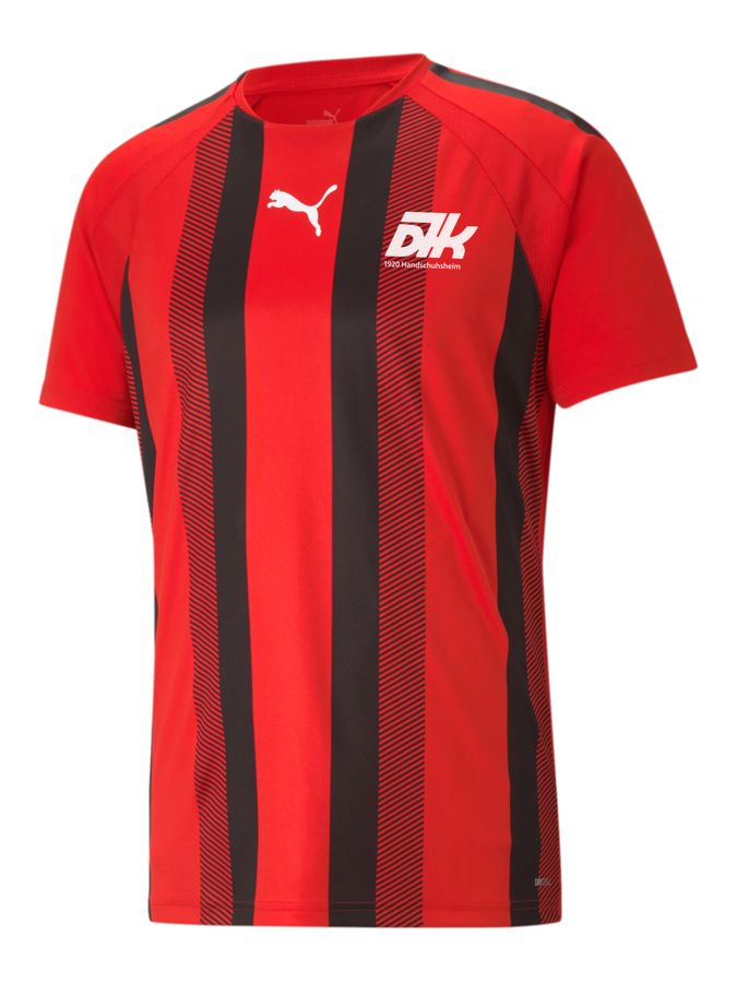 PUMA teamLIGA Striped Trikot