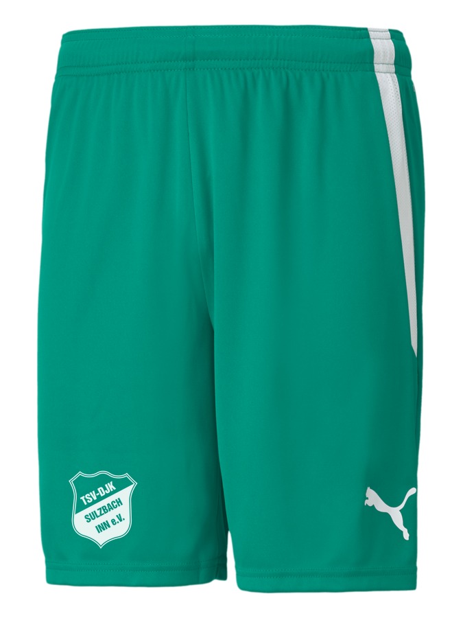 PUMA teamLIGA Shorts
