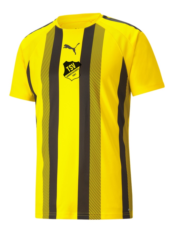 PUMA teamLIGA Striped Trikot