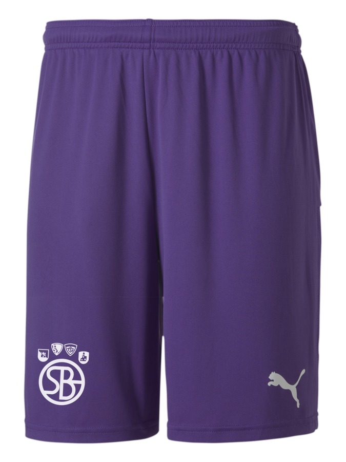 PUMA teamGOAL 23 Knit Shorts