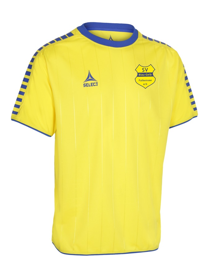Select Argentina Trikot