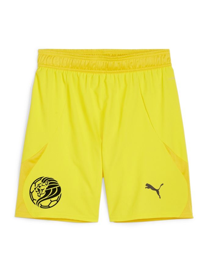 PUMA teamFINAL Shorts