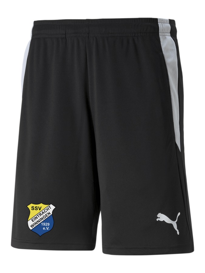 PUMA teamLIGA Referee Shorts