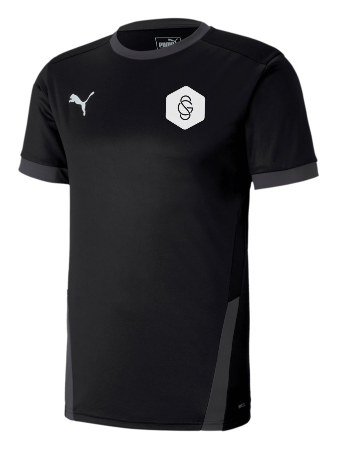 PUMA teamGOAL 23 Trikot