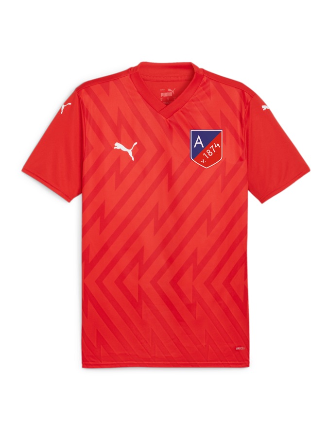 PUMA teamGLORY Trikot